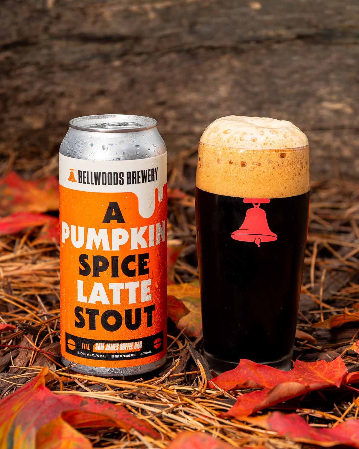 A Pumpkin Spice Latte Stout